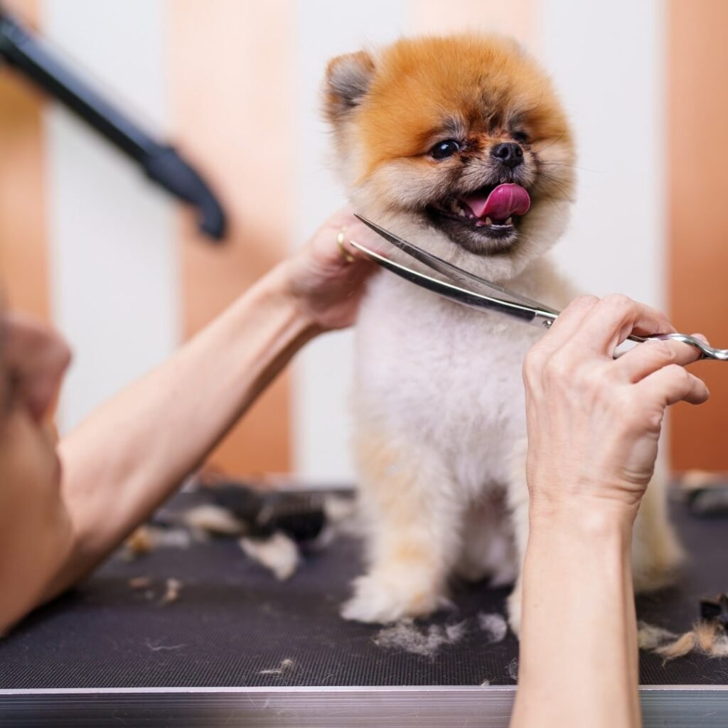 Pet Grooming Management