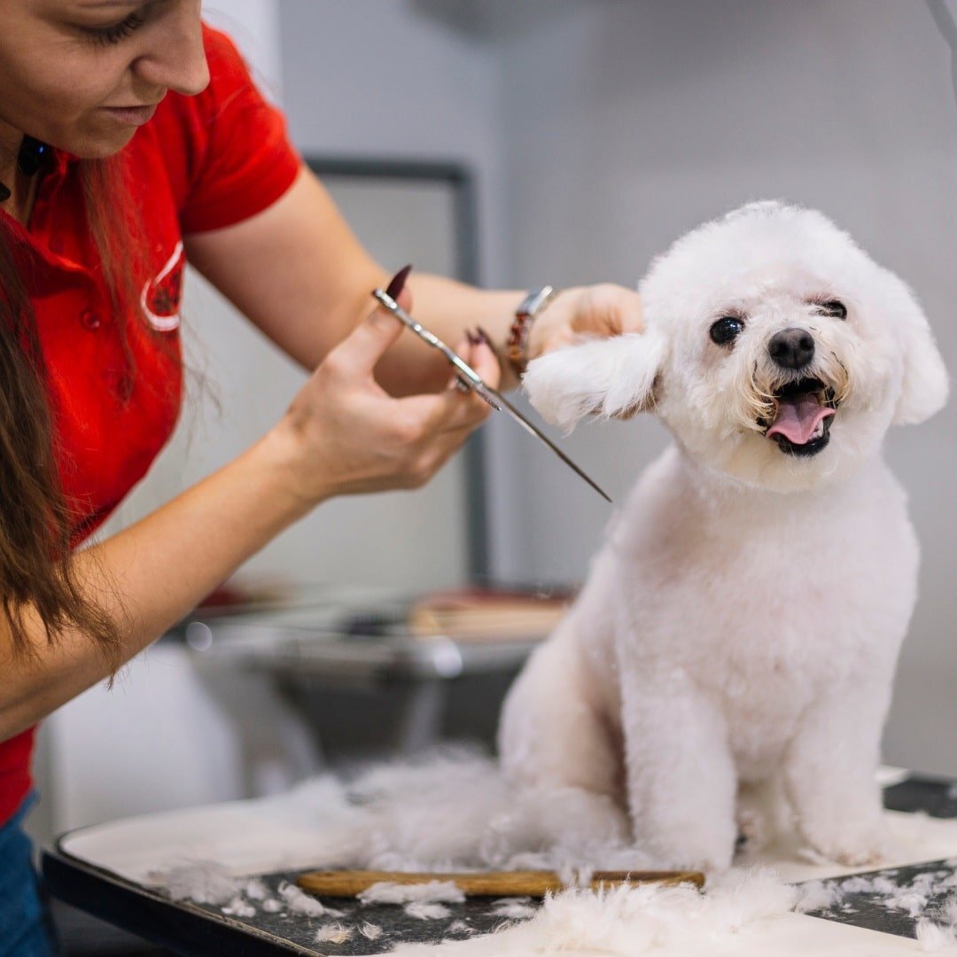 Pet Grooming Management Software