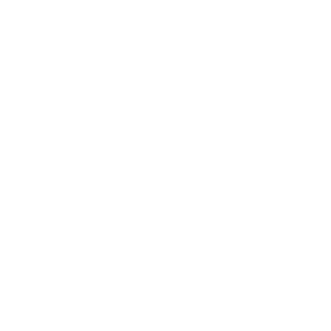 Customized Animation