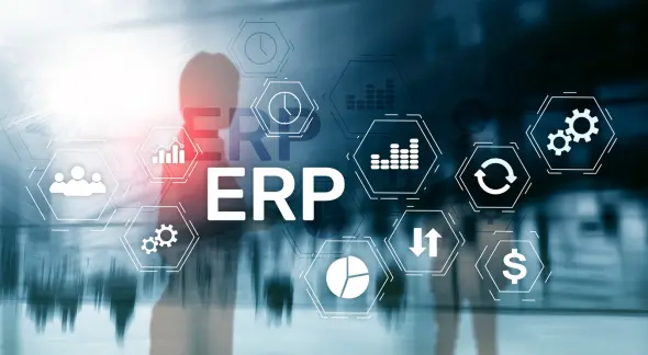 ERP Development