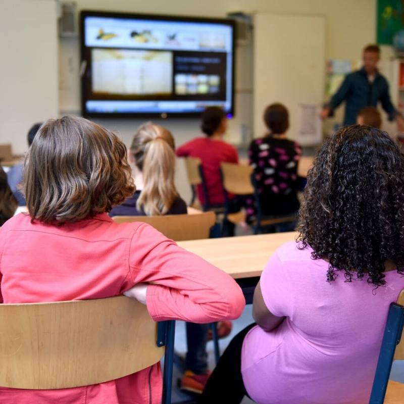 School Automation Software
